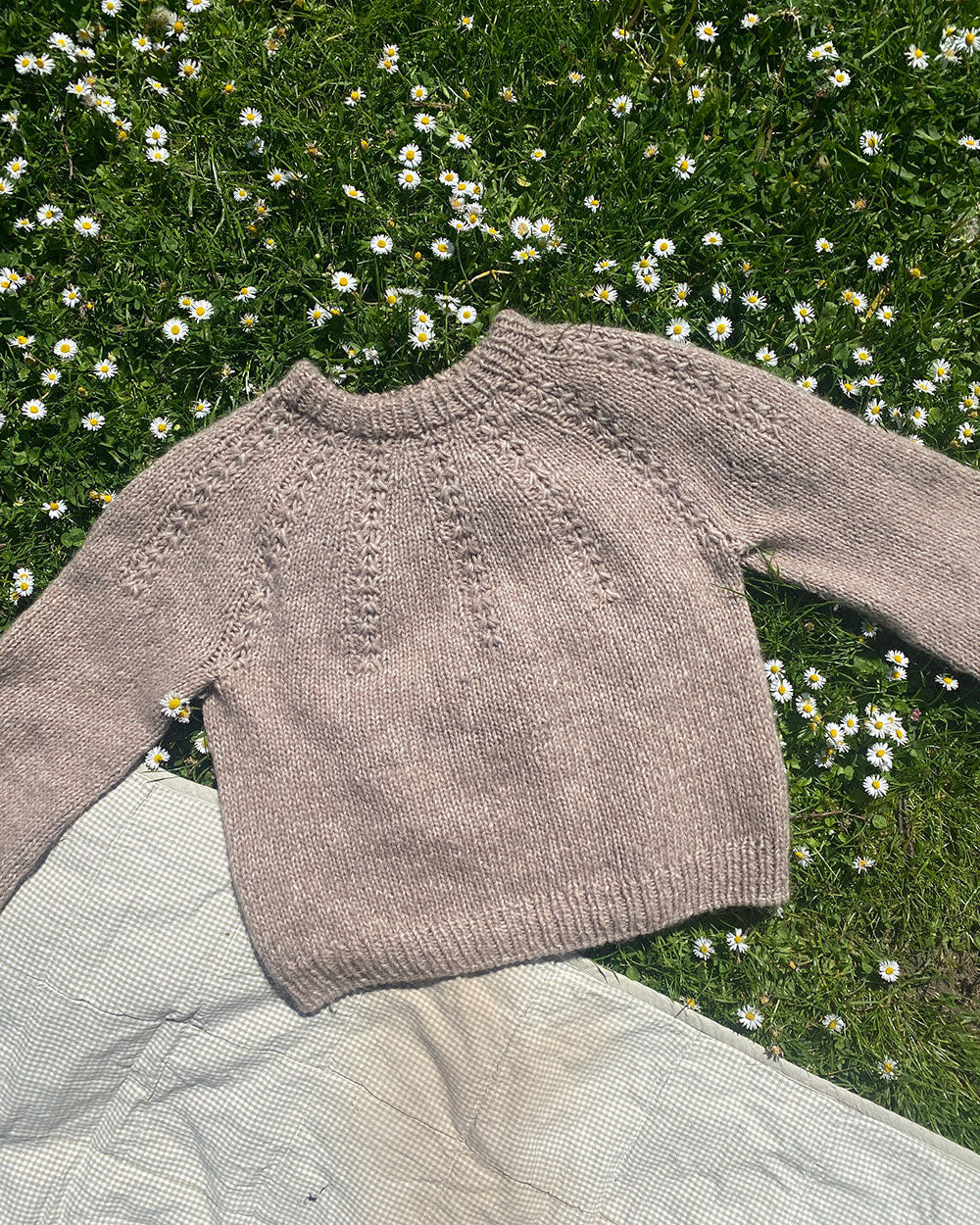 Bellis Sweater